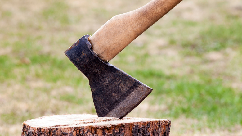 Ax buried in stump