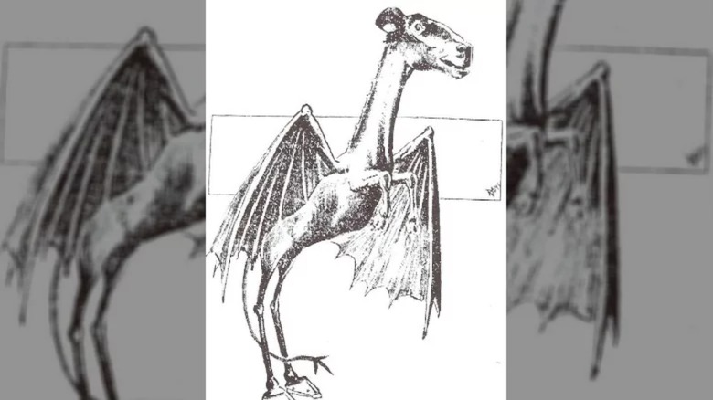 Jersey Devil drawing