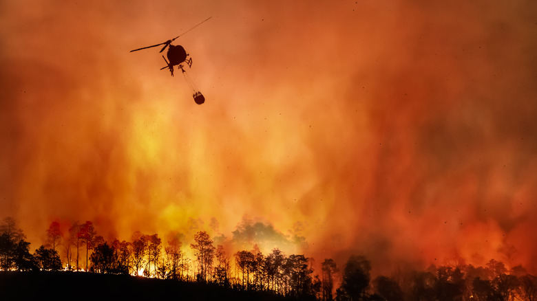 Helicopter over forest fire