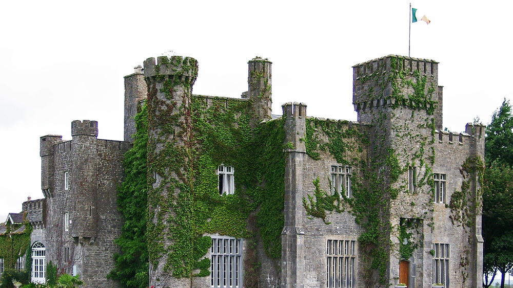 Lisheen Castle grounds