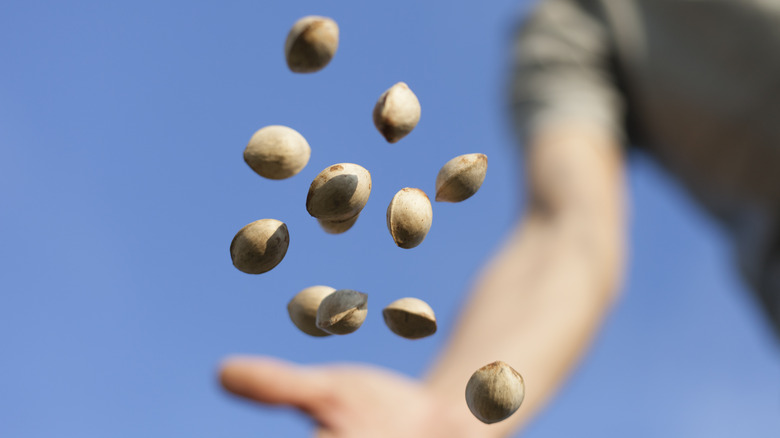 hand throwing seeds