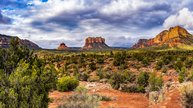 desert landscape