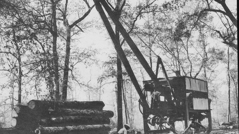 logging in America in 1907