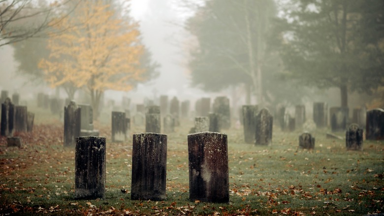 gravestones in foggy graveyard