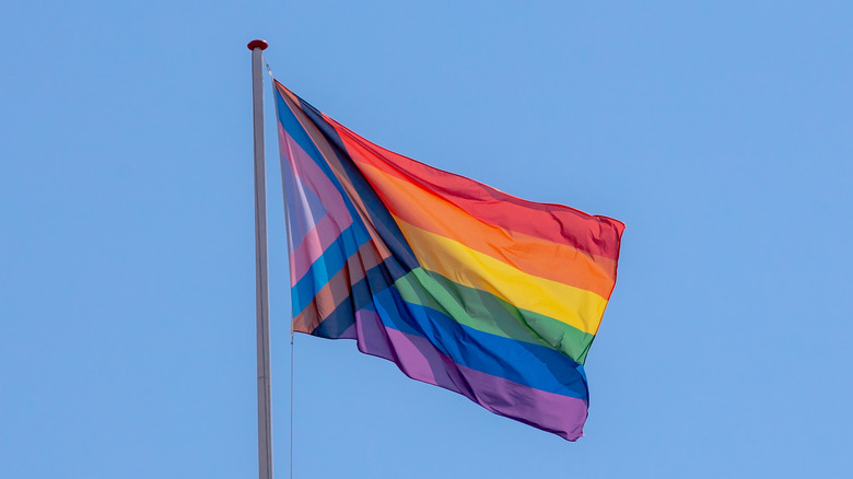 lgbtq+ pride flag flying