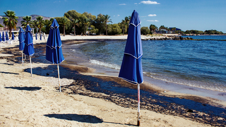 oil spill at beach with umbrellas