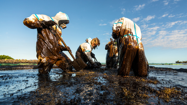people cleaning up oil spill