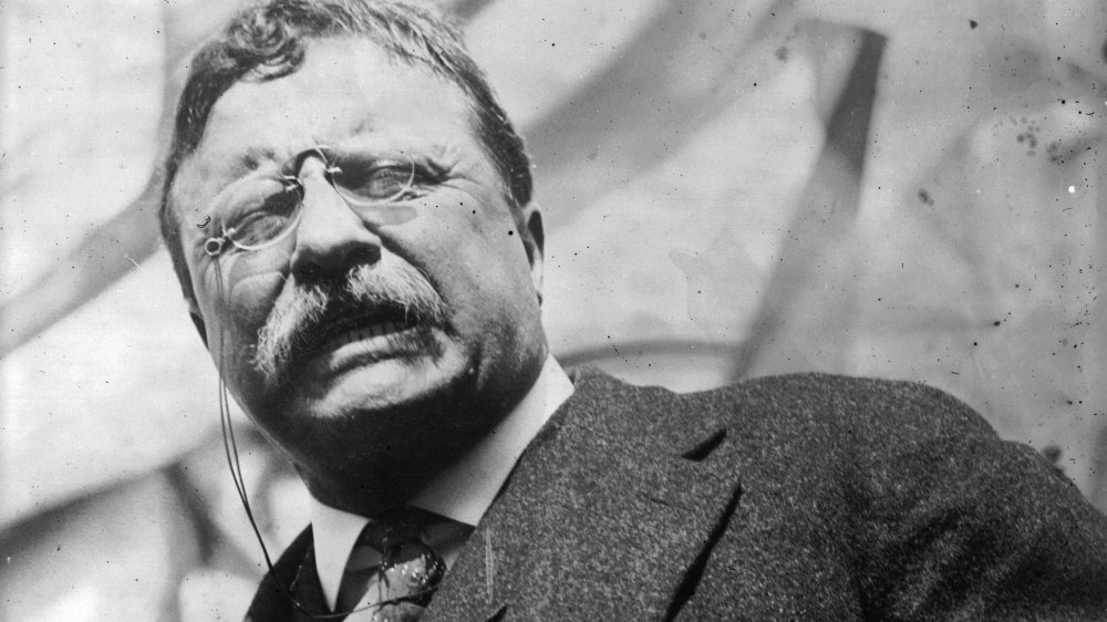 Teddy Roosevelt