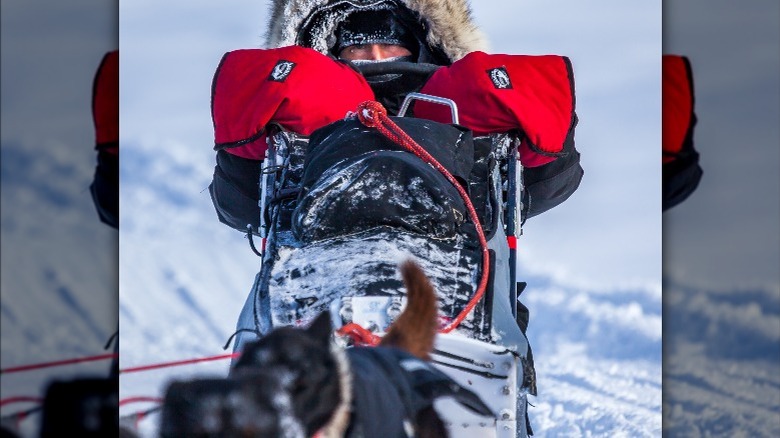 Iditarod Sled Dog Race in Alaska