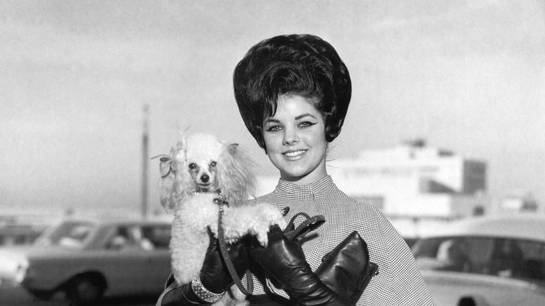 Portrait of Priscilla Presley with dog