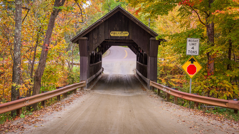 Emily's Bridge under trees yellow leaves