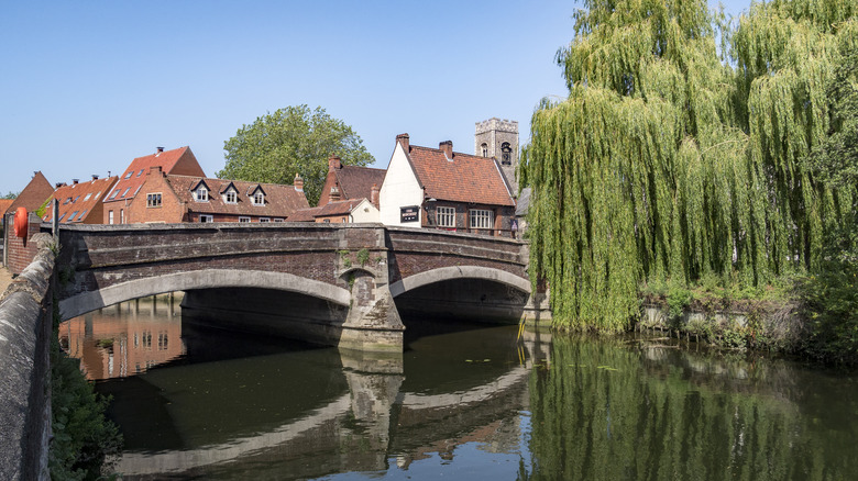 Fye Bridge with houses mossy trees