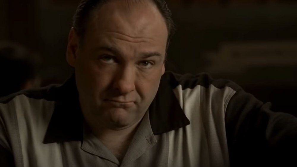 James Gandolfini as Tony Soprano