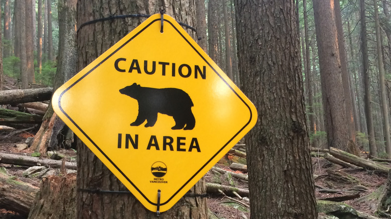 bear warning sign on tree