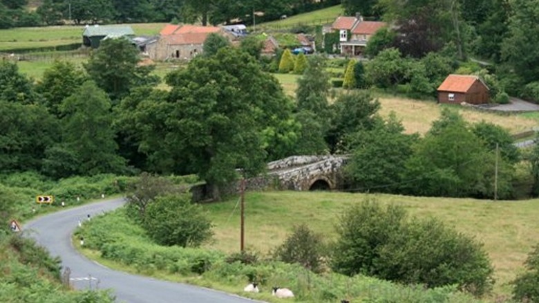 dibbles bridge view with houses