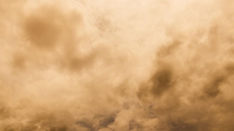 dust storm close up