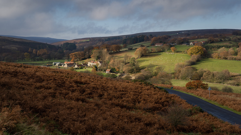 dibbles bridge site north yorkshire