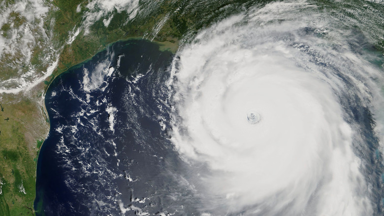 hurricane katrina storm satelite 