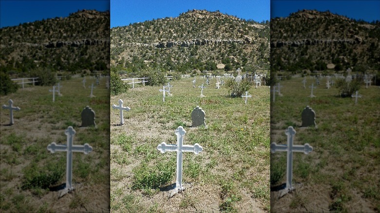 Unmarked crosses of mining disaster victims, Dawson Cemetery, NM