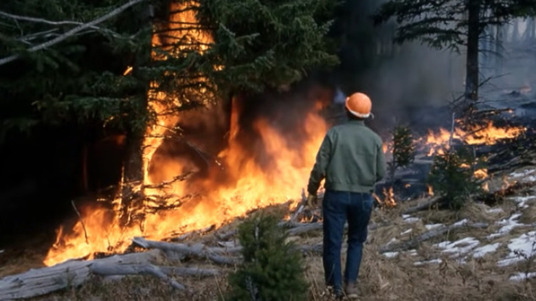 Fire in Yosemite National Park 