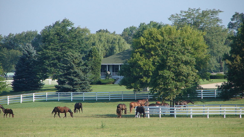 horses and house in barrington hills