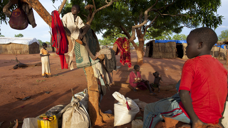 Sudanese refugees in tree