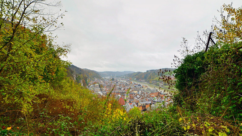 Forest view of Meuse Valley, Belgium