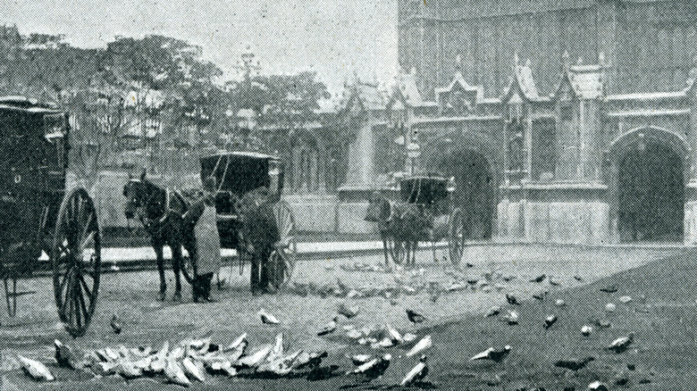 Horses pulling carriages in smog