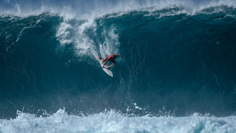 banzai pipeline surfer