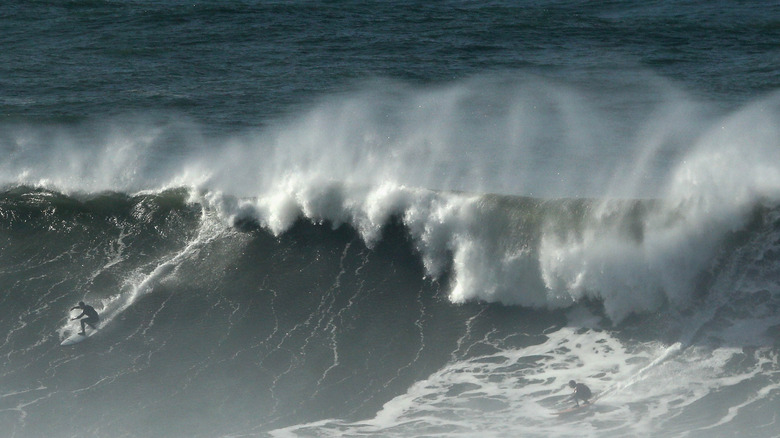 surfer at mavericks california