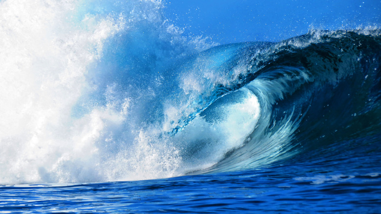 wave at teahupoo