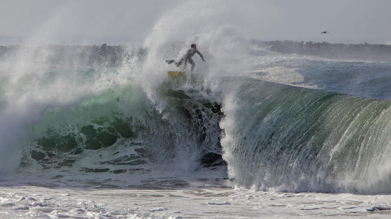 surfer top of wave wedge california