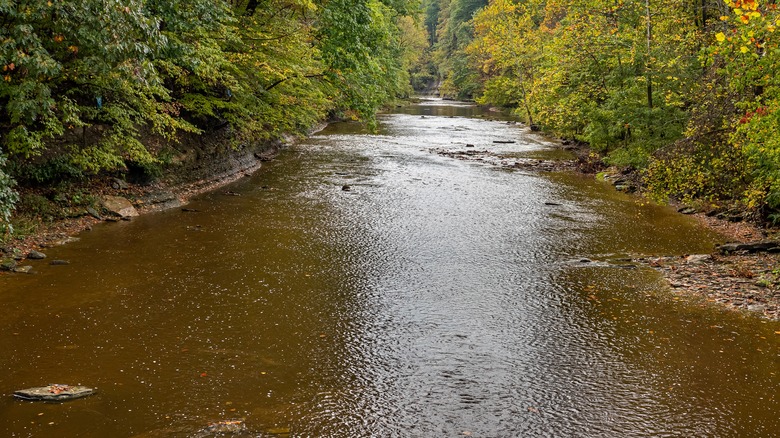 an autumn view of the Ashtabula River