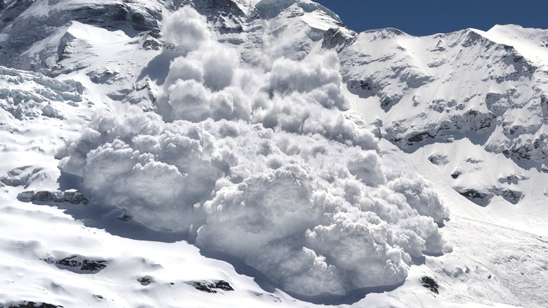 avalanche heading down a mountain