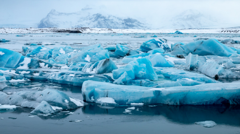 polar ice caps