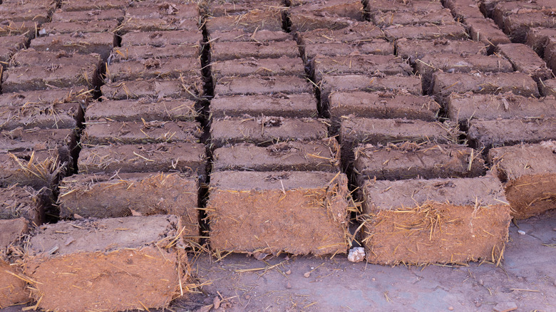 mud bricks laid out to dry