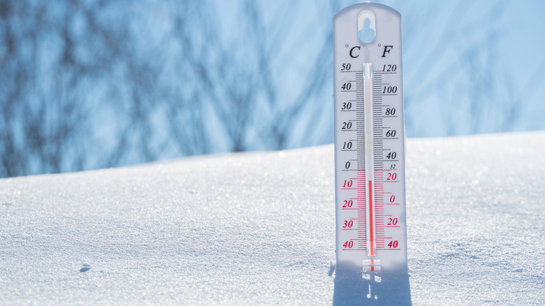 Thermometer in snow