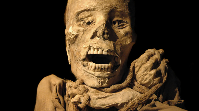 Inca mummy