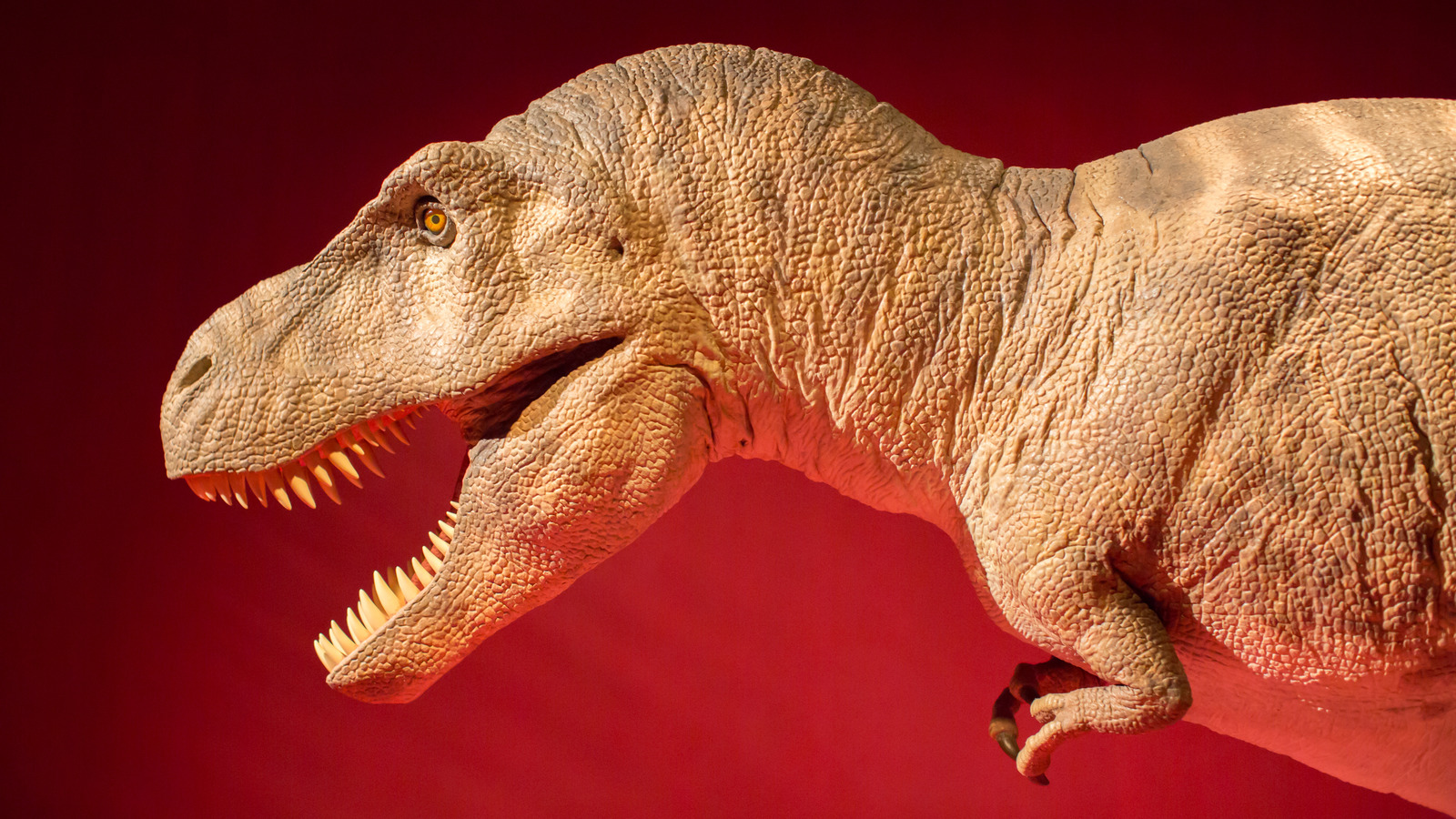 The Dinosaur 37% Of People Wish They Could See Alive And In Person