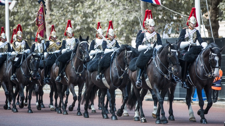 Horses at Queen Elizabeth's funeral