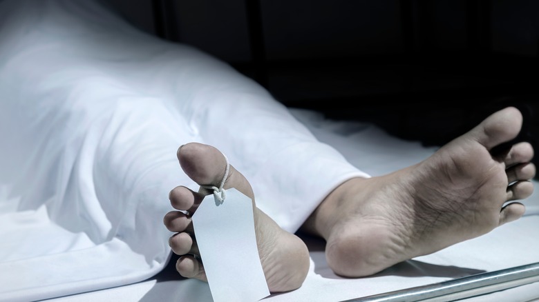 body in morgue with toe tag