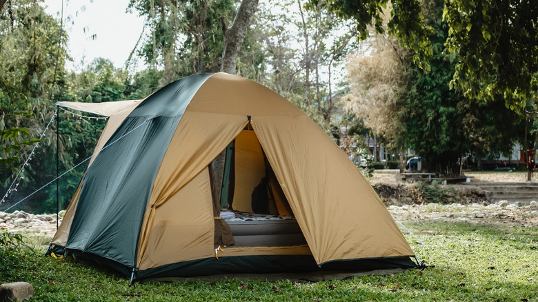 Tent 