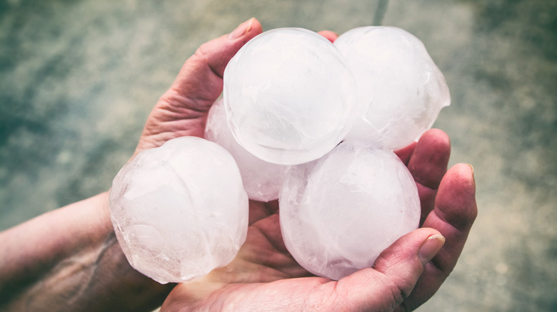 Giant hailstones held in palm