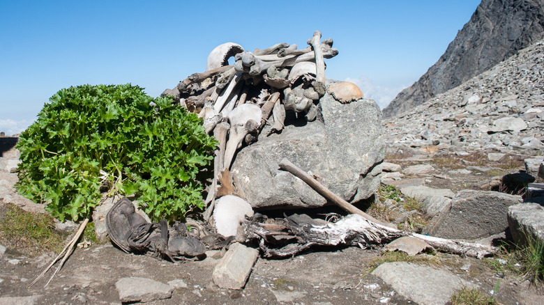 Roopkund Lake bone pile