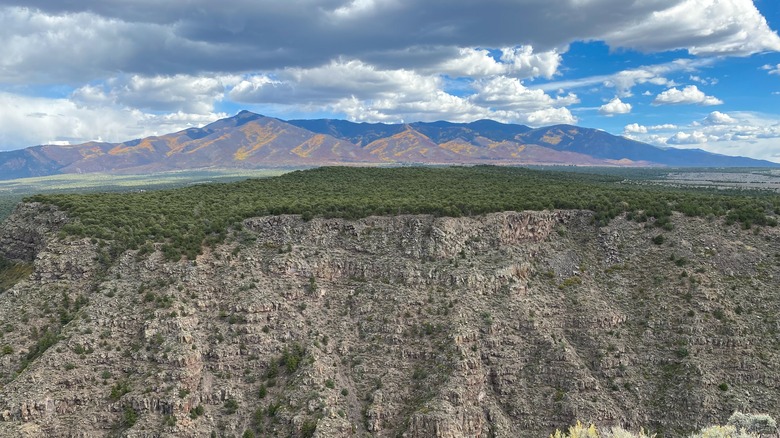 Mount Baldy, New Mexico, where the Mystic gold mine was located