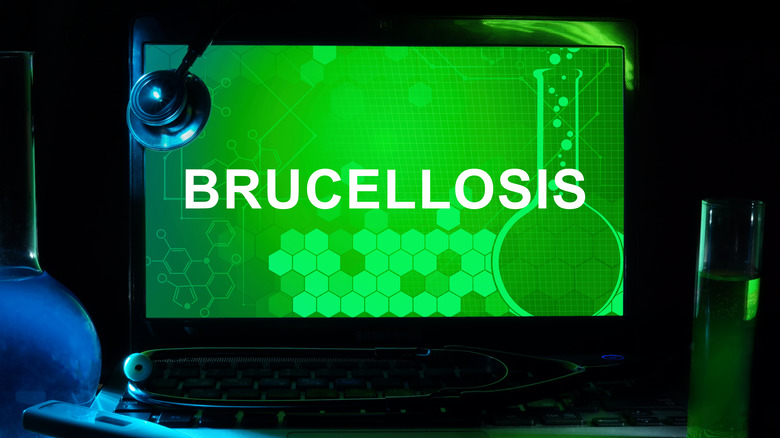 Computer monitor showing "brucellosis" 