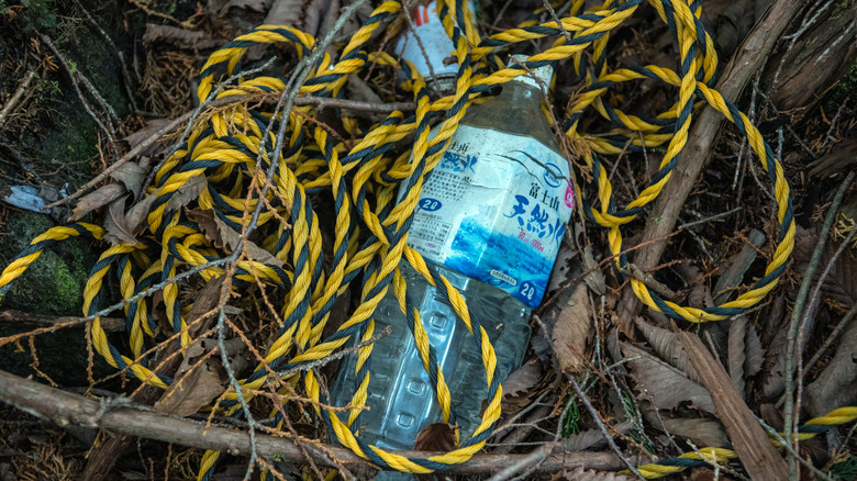 Aokigahara suicide rope and bottle