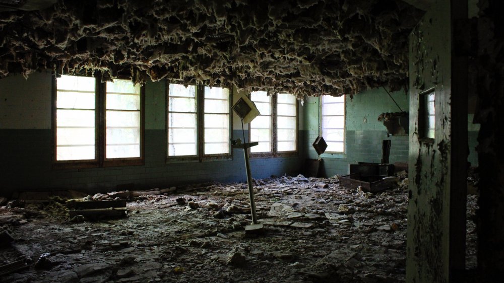 Ruined structure in the Forest Haven Asylum