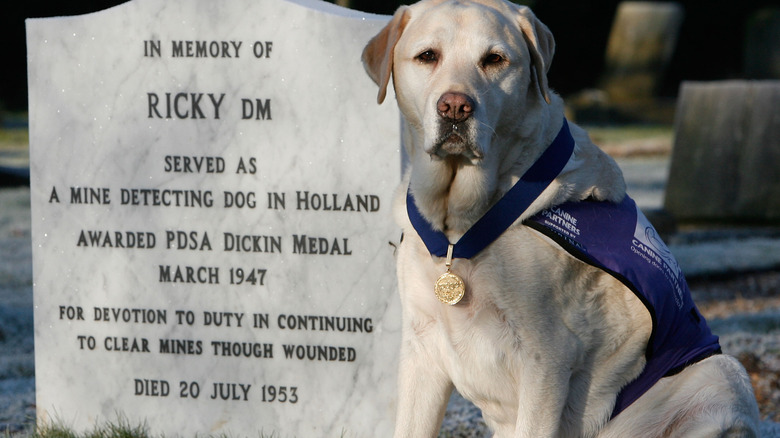 ilford pet cemetery