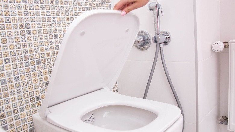 hand holding up toilet lid